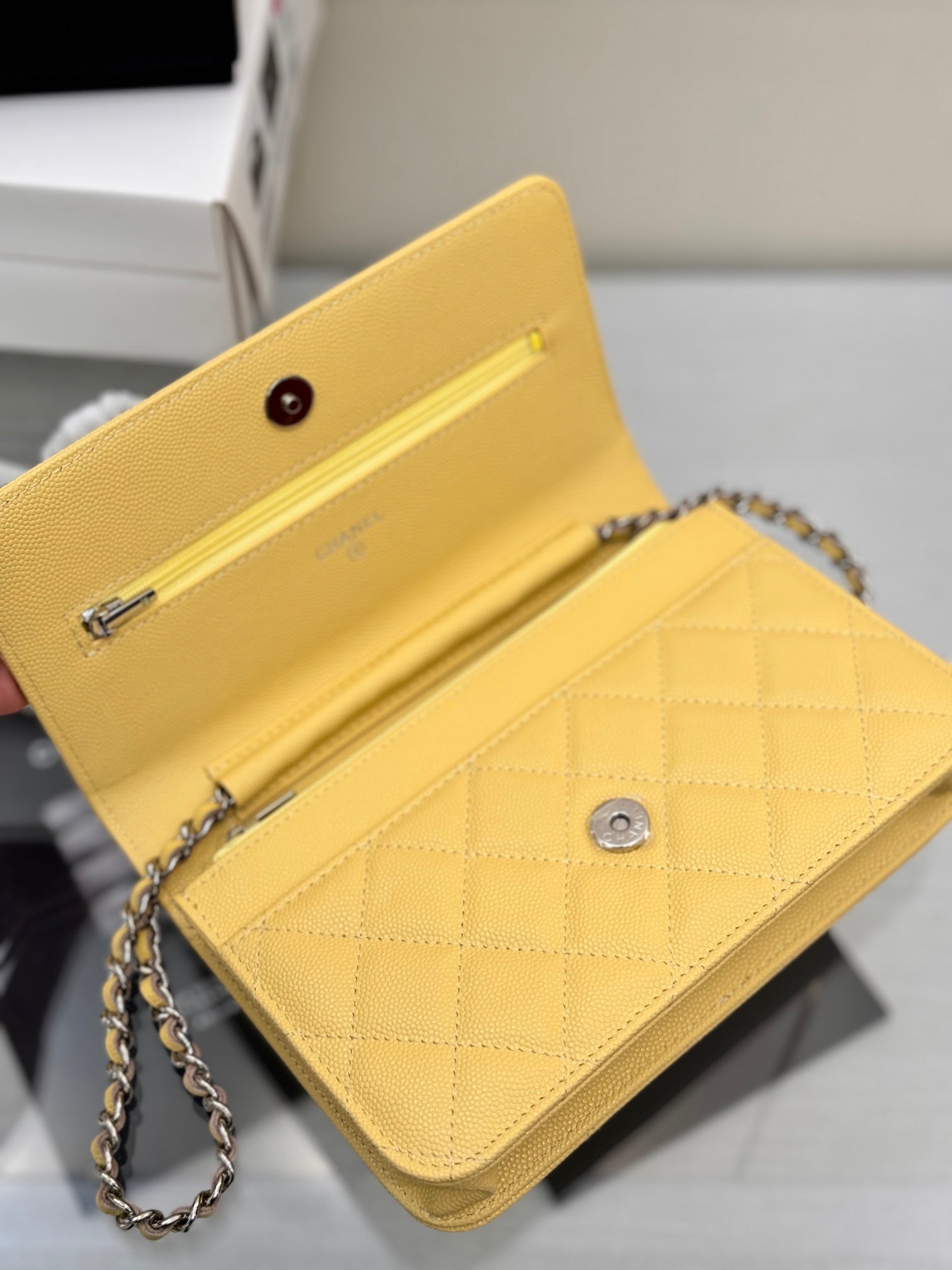 WOC 19CM LIME CAVIAR SILVER HARDWARE mysite