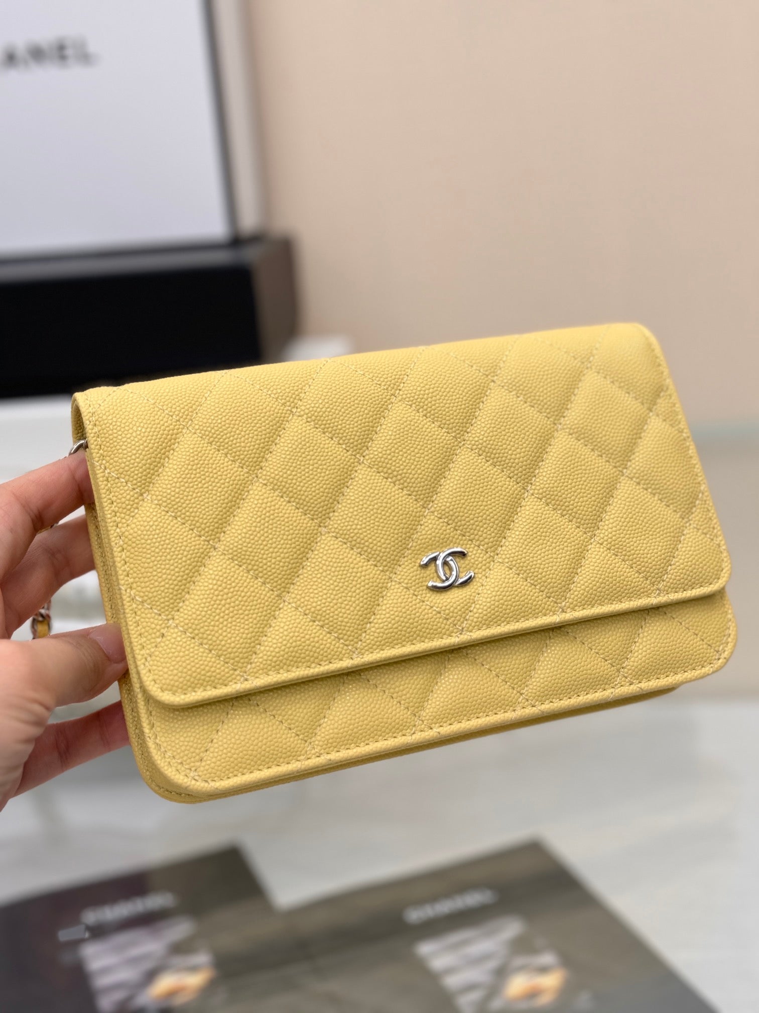 WOC 19CM LIME CAVIAR SILVER HARDWARE mysite