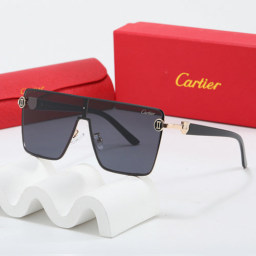 Fashion Sunglasses—110345 Luxcases.shop