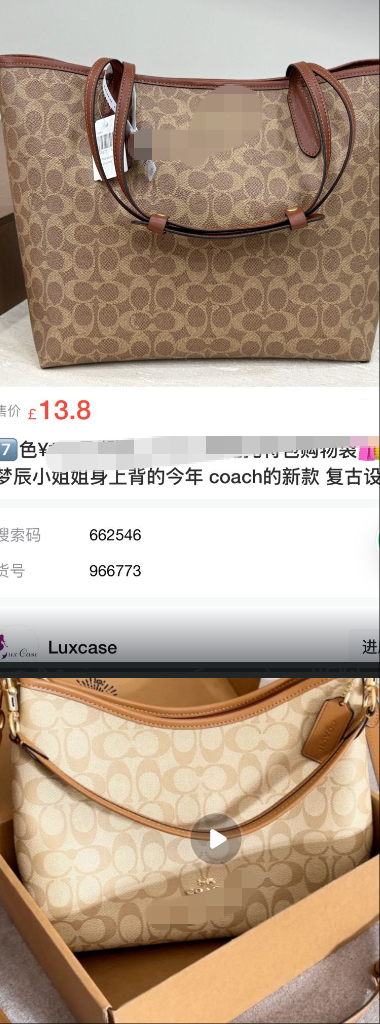 2 bags Luxcases.shop