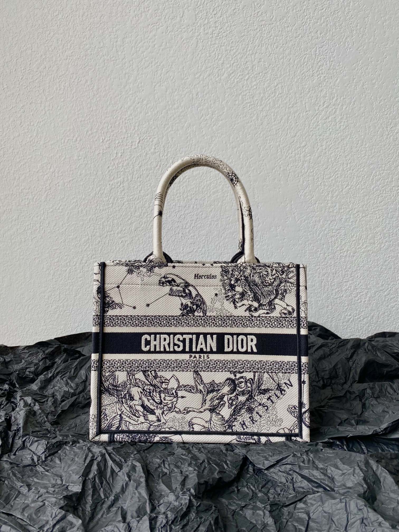 Small CD Book Tote 26.5cm Hercules White mysite